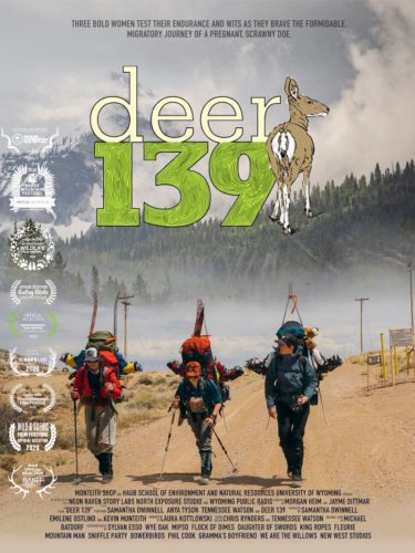 Deer 139 Film Poster