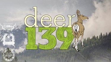 Deer 139 Banner